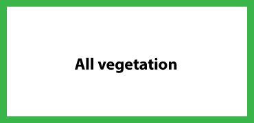 All vegetation